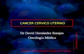 CANCER CERVICO UTERINO Dr David Hernàndez Barajas Oncología Médica Centro Universitario Contra el Cáncer 16 Febrero 2011.