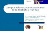 Complicaciones Microvasculares de la Diabetes Mellitus Dr. Fernando Javier Lavalle González Servicio de Endocrinología Departamento de Medicina Interna.