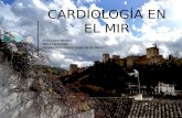 CARDIOLOGÍA EN EL MIR Erika López Moreno MIR 2 Cardiología Hospital Universitario Virgen de las Nieves.
