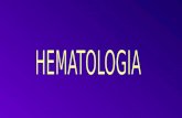 RESUMEN PREGUNTAS HEMATOLOGÍA (14 PREGS AÑO) ANEMIA MICROCÍTICA (2/AÑO) MEGALOBLÁSTICA (1/AÑO). HEMOLÍTICAS (1,5/AÑO) APLASIA - SMD (1/AÑO) LEUCEMIAS.