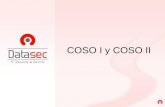 COSO I y COSO II. COSO ICOSO II MEYCOR COSO AG - Solución integral.