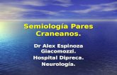 Semiología Pares Craneanos. Dr Alex Espinoza Giacomozzi. Hospital Dipreca. Neurología.