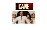 La CBS Estrena "Cane", sobre Familia Cubana del Sur de Florida La cadena de televisión norteamericana CBS estrenó el martes 25 de septiembre la serie.