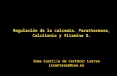 Regulación de la calcemia. Parathormona, Calcitonia y Vitamina D. Inma Castilla de Cortázar Larrea iccortazar@ceu.es.