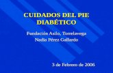 CUIDADOS DEL PIE DIABÉTICO Fundación Asilo, Torrelavega Nadia Pérez Gallardo 3 de Febrero de 2006.