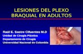 LESIONES DEL PLEXO BRAQUIAL EN ADULTOS Raúl E. Sastre Cifuentes M.D Unidad de Cirugía Plástica Departamento de Cirugía Universidad Nacional de Colombia.