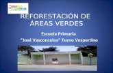 REFORESTACIÓN DE ÁREAS VERDES Escuela Primaria José Vasconcelos Turno Vespertino.