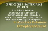 INFECCIONES BACTERIANAS DE PIEL Dr. López Castro. Dermatológo Servicio de Dermatología del Hospital México. Patologo, Servicio de Anatomía Patológica Hospital.