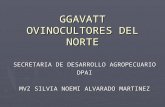GGAVATT OVINOCULTORES DEL NORTE SECRETARIA DE DESARROLLO AGROPECUARIO DPAI MVZ SILVIA NOEMI ALVARADO MARTINEZ.