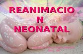 REANIMACION NEONATAL Romero Franco Diana Marisol Secc. 06.