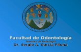 Facultad de Odontología Dr. Sergio A. García Piloña Facultad de Odontología Temática de Radiología Dr. Sergio A. García Piloña.