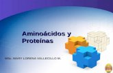 Aminoácidos y Proteínas MSc. MARY LORENA VALLECILLO M.