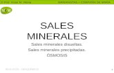 © Prof. Víctor M. Vitoria MARIANISTAS + COMPAÑÍA DE MARÍA 1 SALES MINERALES Sales minerales disueltas. Sales minerales precipitadas. ÓSMOSIS.
