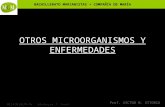 BACHILLERATO MARIANISTAS + COMPAÑÍA DE MARÍA Prof. VÍCTOR M. VITORIA MICROBIOLOGÍA – Biología 2º bach OTROS MICROORGANISMOS Y ENFERMEDADES.