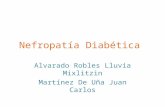 Nefropatía Diabética Alvarado Robles Lluvia Mixlitzin Martínez De Uña Juan Carlos.