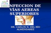 INFECCION DE VÍAS AEREAS SUPERIORES DR. CARLOS N. DEL RÍO ALMENDAREZ.