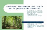 Factores limitantes del suelo en la producción forestal Al evaluar la aptitud forestal de una cierta área se deben observar una serie de características.
