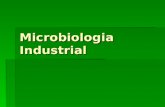 Microbiologia Industrial. cobertura Los procesos industriales de base biologica ya sea por microorganismos o por enzimas o tejidos animales o vegetales.