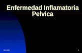 30/01/20141 Enfermedad Inflamatoria Pelvica. 30/01/20142 Infecciones Pelvicas Las infecciones pueden ocurrir en cualquiera o en todas las porciones de.