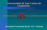 Universidad de San Carlos de Guatemala Encerado Funcional del Dr. P.K. Thomas.