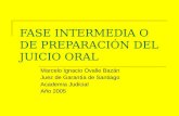 FASE INTERMEDIA O DE PREPARACIÓN DEL JUICIO ORAL Marcelo Ignacio Ovalle Bazán Juez de Garantía de Santiago Academia Judicial Año 2005.