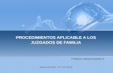PROCEDIMIENTOS APLICABLE A LOS JUZGADOS DE FAMILIA Profesora: Mariella España G. Derecho de Familia - CFT UCE VALPO.