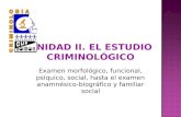 UNIDAD II. EL ESTUDIO CRIMINOLÓGICO Examen morfológico, funcional, psíquico, social, hasta el examen anamnésico- biográfico y familiar social.