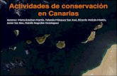 Actividades de conservación en Canarias Autores: Marta Esteban Martín, Yolanda Márquez San José, Ricardo Melcón Martín, Javier Saz Bou, Natalia Regodón.
