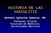 HISTORIA DE LAS VASCULITIS Antonio Iglesias Gamarra. MD. Profesor titular Facultad de Medicina Universidad Nacional Antonio Iglesias Gamarra. MD. Profesor.