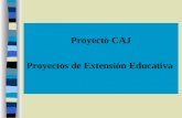 Proyecto CAJ Proyectos de Extensión Educativa. Proyecto Institucional de la Escuela Proyecto CAJ.