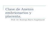 Clase de Anexos embrionarios y placenta. Prof. Dr. Rodrigo Barra Eaglehurst.