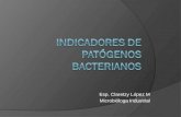 Esp. Claretzy López M Microbióloga Industrial. INDICADORES DE PATOGENOS Se considera que todos los microorganismos implicados en enfermedades de origen.