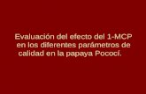 Evaluación del efecto del 1-MCP en los diferentes parámetros de calidad en la papaya Pococí.