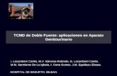 TCMD de Doble Fuente: aplicaciones en Aparato Genitourinario I. Lecumberri Cortés, M.V. Bárcena Robredo, G. Lecumberri Cortés, M.M. Sarmiento De La Iglesia,