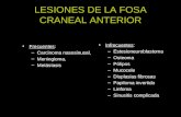 LESIONES DE LA FOSA CRANEAL ANTERIOR Frecuentes: –Carcinoma nasosinusal, –Meningioma, –Metástasis Infrecuentes: –Estesioneuroblastoma –Osteoma –Pólipos.