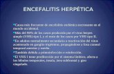 ENCEFALITIS HERPÉTICA Causa más frecuente de encefalitis endémica necrosante en el mundo occidental. Causa más frecuente de encefalitis endémica necrosante.