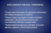 ESCLEROSIS MESIAL TEMPORAL Causa más frecuente de epilepsia refractaria del lóbulo temporal en adultos. Causa más frecuente de epilepsia refractaria del.
