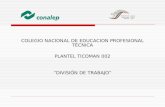 COLEGIO NACIONAL DE EDUCACION PROFESIONAL TÉCNICA PLANTEL TICOMAN 002 DIVISIÓN DE TRABAJO.
