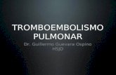 TROMBOEMBOLISMO PULMONAR Dr. Guillermo Guevara Ospino HSJD.