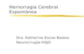 Hemorragia Cerebral Espontánea Dra. Katherine Escoe Bastos Neurocirugía-HSJD.