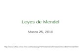 Leyes de Mendel Marzo 25, 2010 .