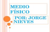 MEDIO FÍSICO POR: JORGE NIEVES. RELIEVE A CONTINUACIÓN HABLAREMOS DEL MEDIO FÍSICO DE O CEANÍA.
