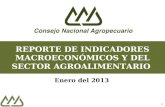1 REPORTE DE INDICADORES MACROECONÓMICOS Y DEL SECTOR AGROALIMENTARIO Enero del 2013.