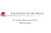 Equilibrio Acido-Base Dr Jorge Brenes Dittel. Nefrología.