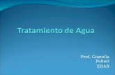 Prof. Gianella Polleri EDAR. Agua contaminada Pretratamiento TRATAMIENTO 1TRATAMIENTO 2 TRATAMIENTO 3 LODOS ACTIVADOS Vertido controlado Afluente Efluente.