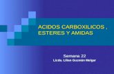 ACIDOS CARBOXILICOS, ESTERES Y AMIDAS Semana 22 Licda. Lilian Guzmán Melgar.