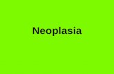 Neoplasia. Masa anormal de tejido Masa anormal de tejido que crece más que los tejidos vecinos sin coordinación con el tejido normal autónoma sin propósito.
