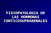 FISIOPATOLOGIA DE LAS HORMONAS CORTICOSUPRARENAL ES.