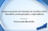 Implementación del Modelo de Gestión COPC: Desafíos conceptuales y operativos Facilitador: Fortunato Bertello.