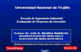 ING. ALFREDO MUÑOZ G Profesor: Dr. Luis A. Benites Gutiérrez SEGMENTACION DE MERCADO Y ELECCION DE MERCADOS META (Material reproducido por el Autor para.